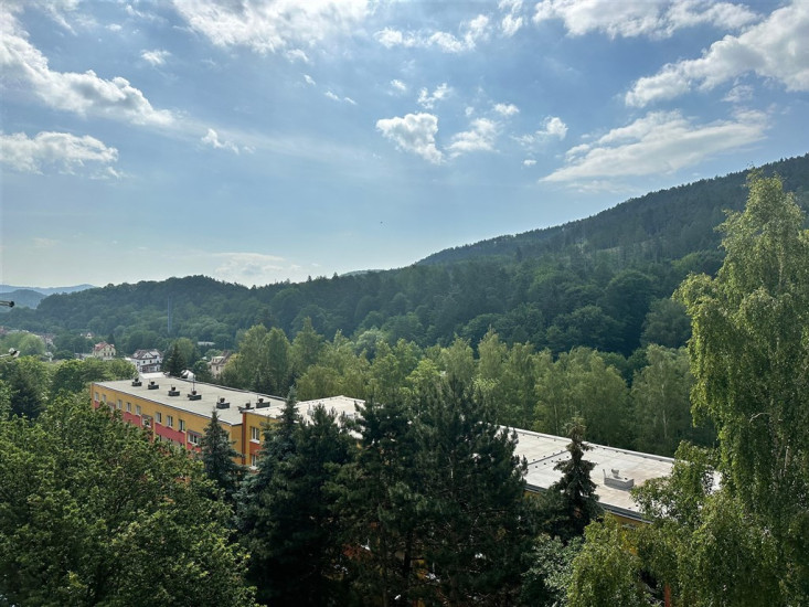 Podnájem družstevního bytu 1+1 (34 m2), Na Pěšině, Děčín IX - Bynov 