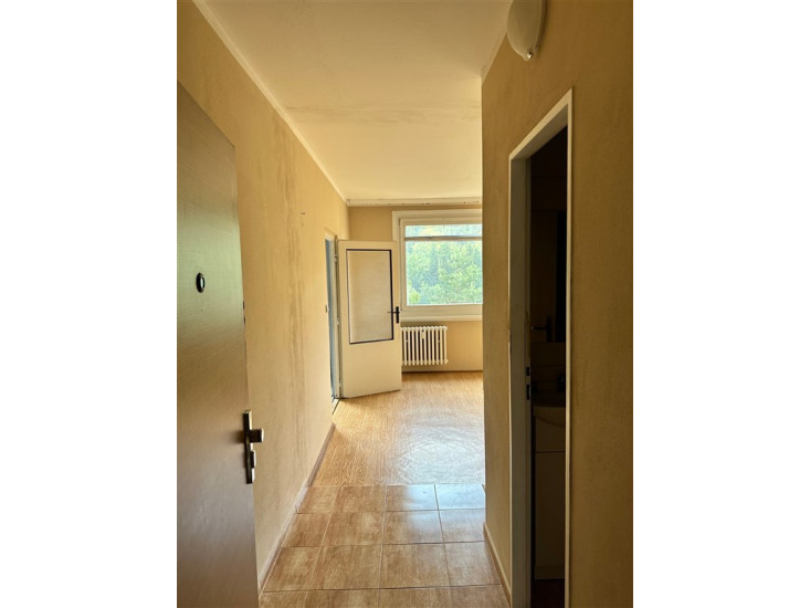 Podnájem družstevního bytu 1+1 (34 m2), Na Pěšině, Děčín IX - Bynov 