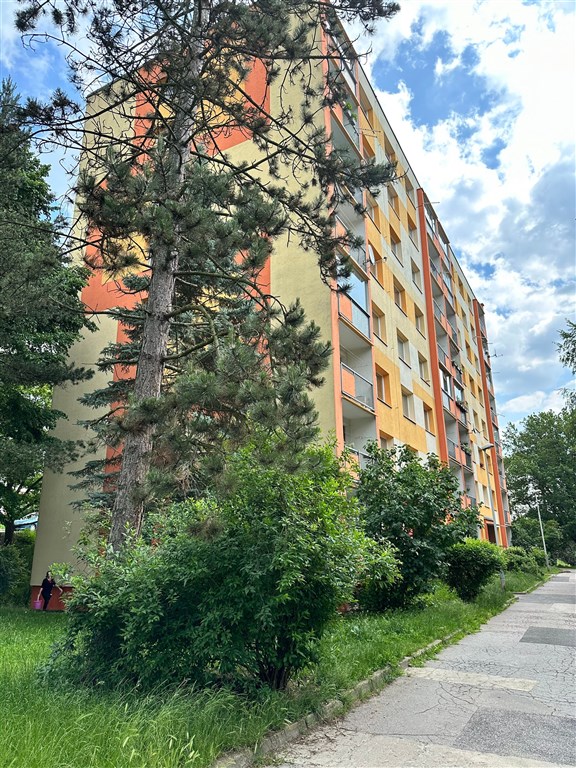 Podnájem družstevního bytu 1+1 (34 m2), Na Pěšině, Děčín IX - Bynov 
