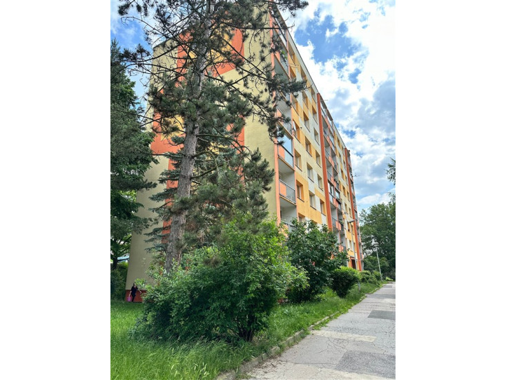 Podnájem družstevního bytu 1+1 (34 m2), Na Pěšině, Děčín IX - Bynov 