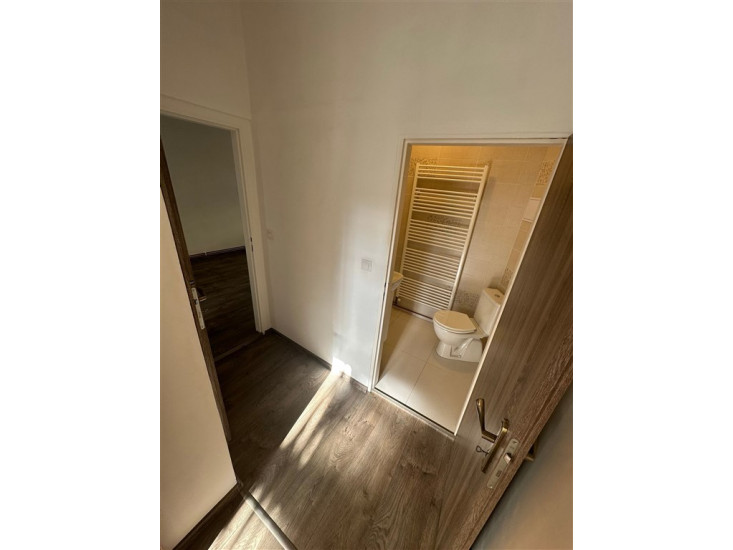 Pronájem bytu 3+kk (53 m2), OV, Raisova ul., Děčín IV-Podmokly